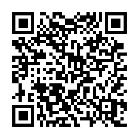 QR code for 729SDT