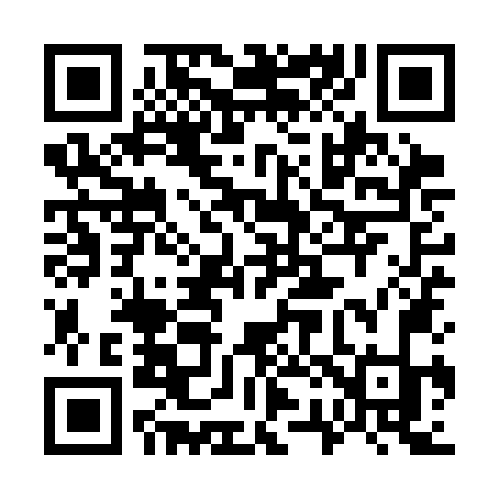 QR code for 729SNK