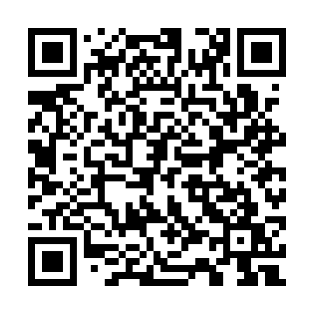 QR code for 737ASW