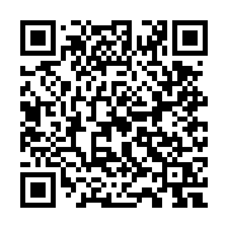 QR code for 737DWQ