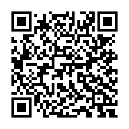 QR code for 737NDF