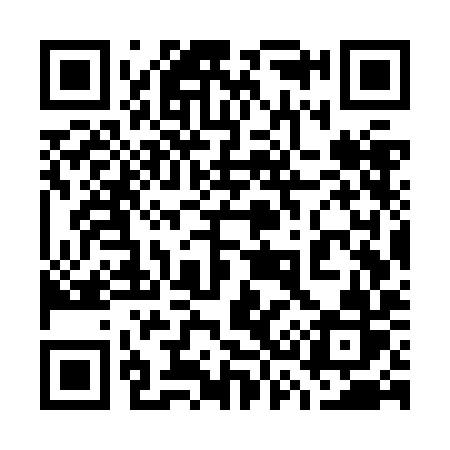 QR code for 737ZIR