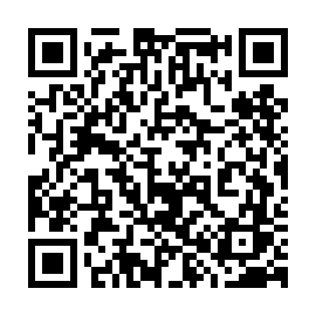 QR code for 787DFS