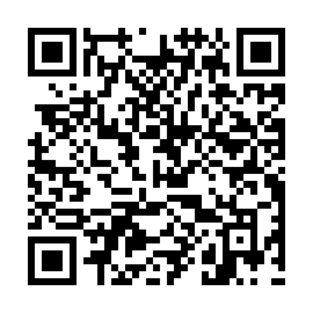 QR code for 787IRO