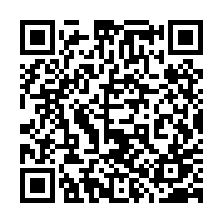 QR code for 787PPT