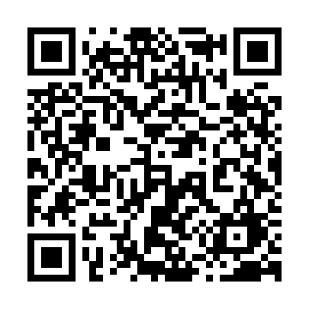 QR code for 856HSG