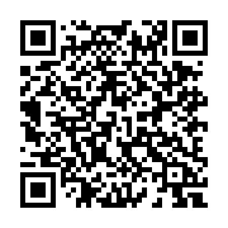 QR code for 868DHB