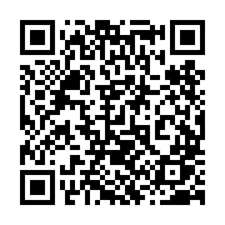 QR code for 868DLP