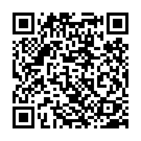 QR code for 869DSY