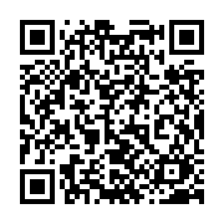 QR code for 869ZSO