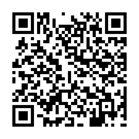 QR code for 870IEA