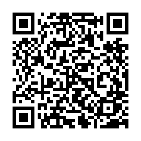 QR code for 905NLP