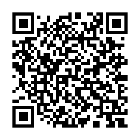 QR code for 910PIP