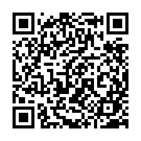 QR code for 911ZML