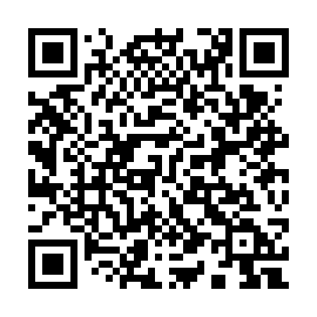 QR code for 913FSD