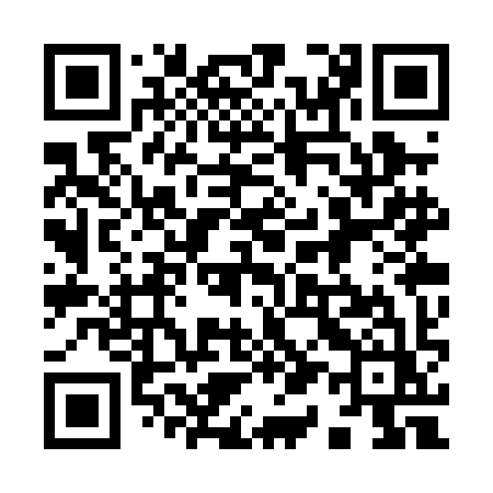 QR code for 913PIZ