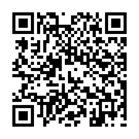 QR code for 917RAQ