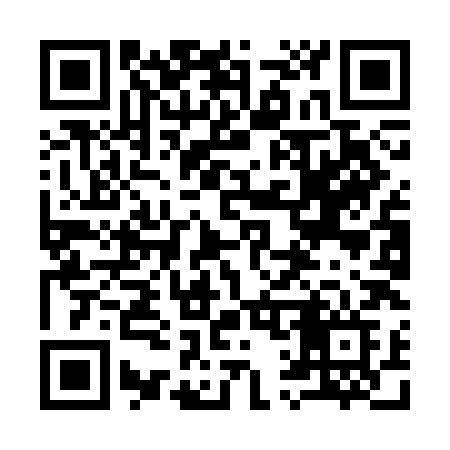 QR code for 919CHF