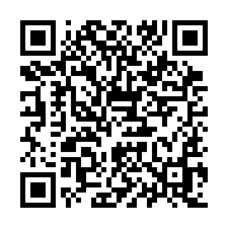 QR code for 919CIO