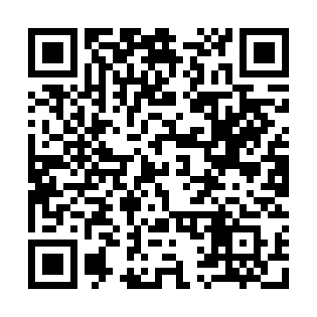 QR code for 919FCS