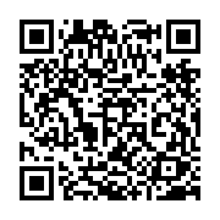 QR code for 919NFX