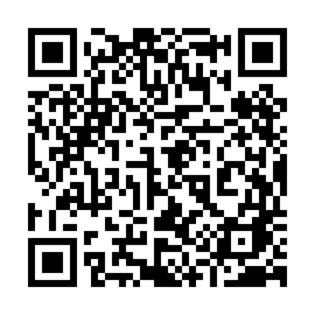 QR code for 919PDA