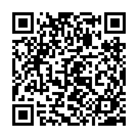 QR code for 919RAO