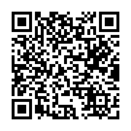 QR code for 919SFD