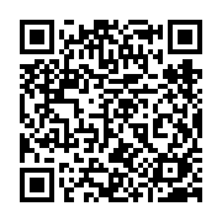 QR code for 919VAM