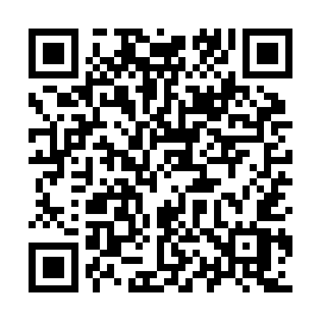 QR code for 919ZEW