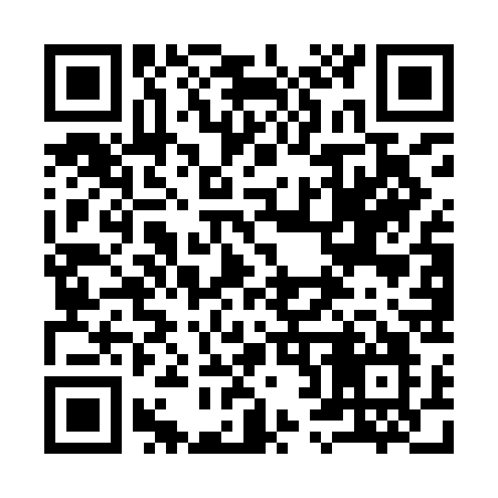 QR code for 925ICO