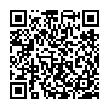 QR code for 929VIS