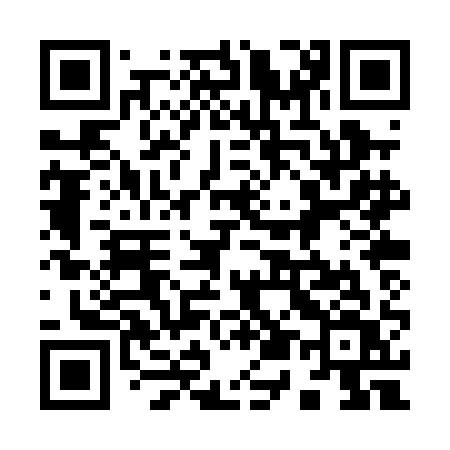 QR code for 950PAV