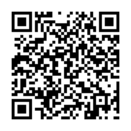 QR code for 950ZZP
