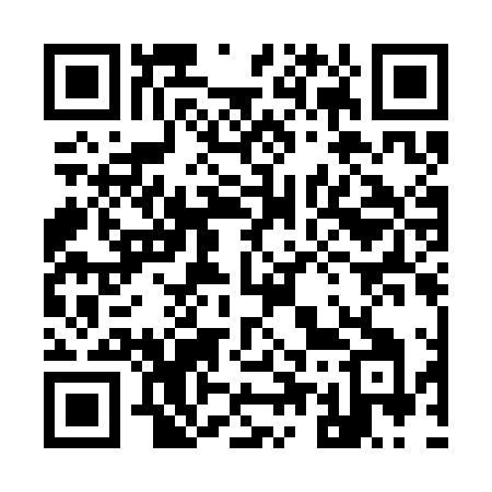 QR code for 951CLI
