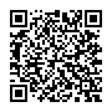 QR code for 951TOY