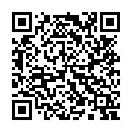 QR code for 953NVP