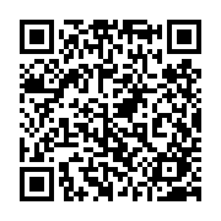 QR code for 953TPO