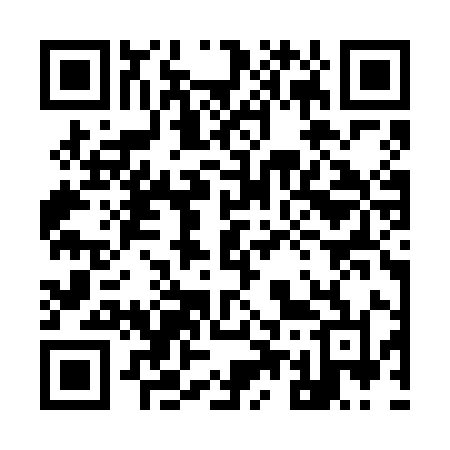 QR code for 953VIL