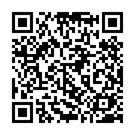QR code for 954PGM