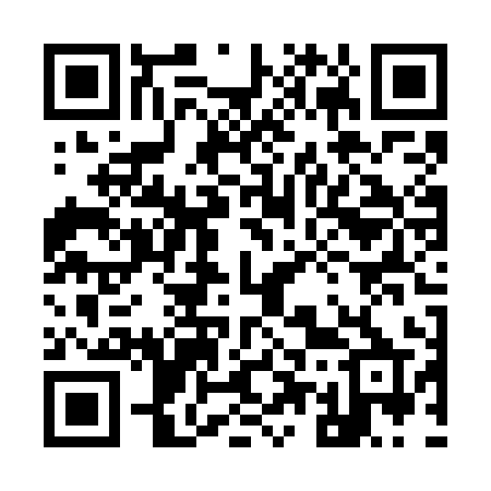 QR code for 954WIP