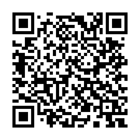 QR code for 955DVR