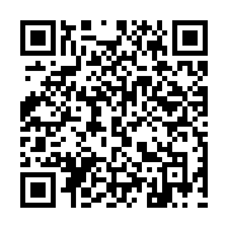 QR code for 955SFO
