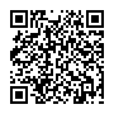 QR code for 955XVI