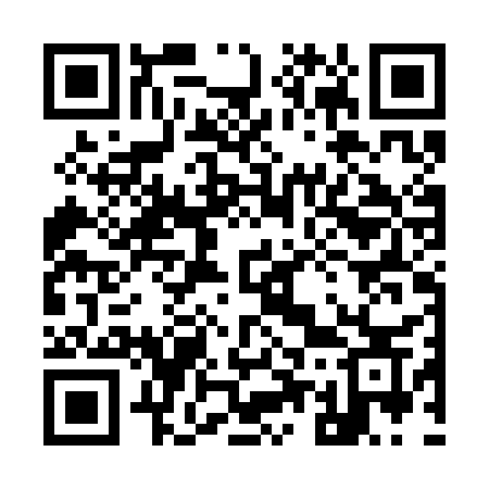 QR code for 956CCS