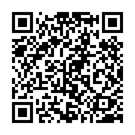 QR code for 956PAY