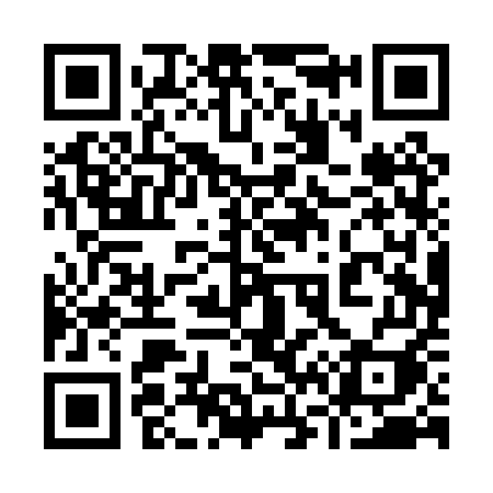 QR code for 960PUI