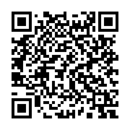 QR code for 965MSX