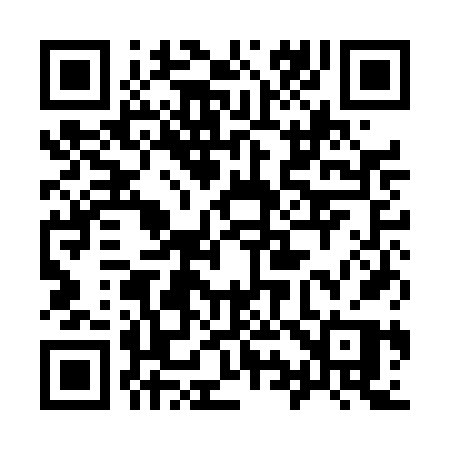 QR code for 991DFP
