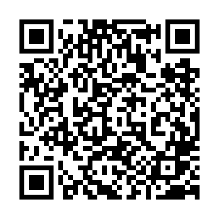 QR code for 991GLS